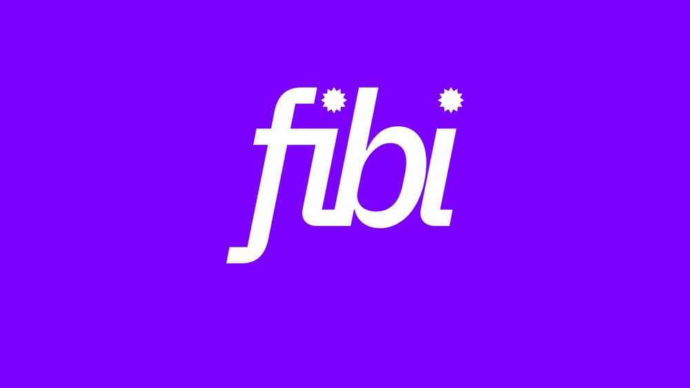 Anteprima del progetto FIBI