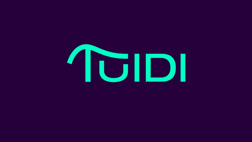 Anteprima del progetto Tuidi